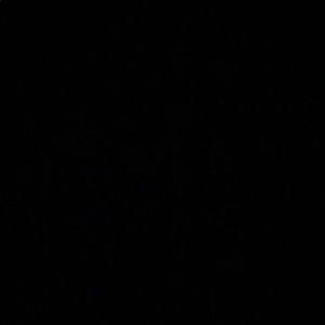 Meet your Posher, Lisbeth